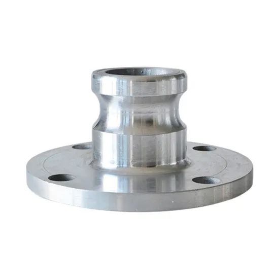 ステンレス鋼ホースコネクタクイックカムロックカップリング